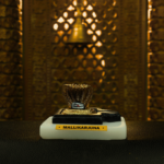 12 jyotirlinga replica miniatures - Image 11