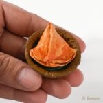 Samosa Miniature Fridge Magnets - Image 4